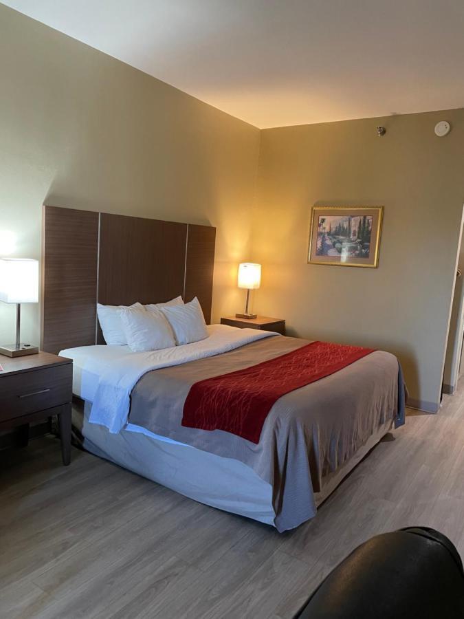 ניופורט Econo Lodge מראה חיצוני תמונה